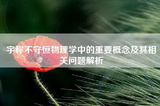 宇称不守恒物理学中的重要概念及其相关问题解析
