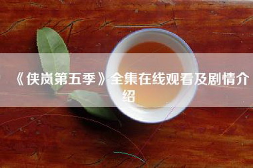 《侠岚第五季》全集—及剧情介绍