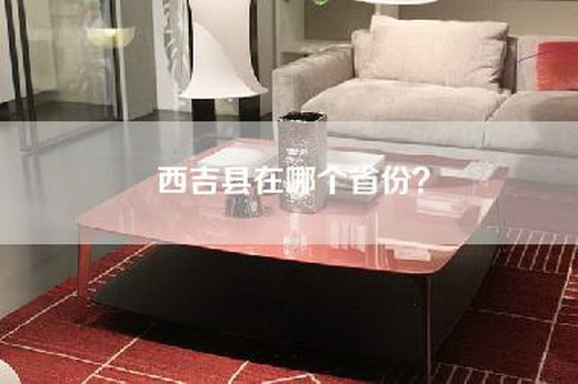 西吉县在哪个省份？