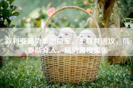 叙利亚局势美国撤军，土耳其进攻，俄罗斯介入，局势再度紧张