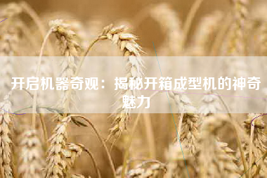 开启机器奇观：揭秘开箱成型机的神奇魅力