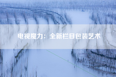 电视魔力：全新栏目包装艺术