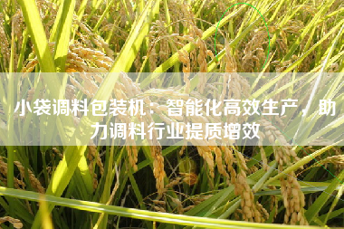小袋调料包装机：智能化高效生产，助力调料行业提质增效