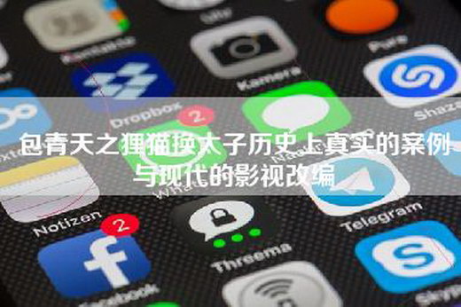 包青天之狸猫换太子历史上真实的案例与现代的影视改编