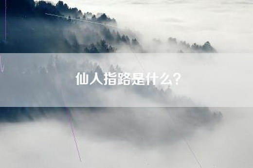仙人指路是什么？
