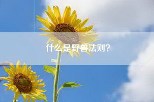 什么是野兽法则？