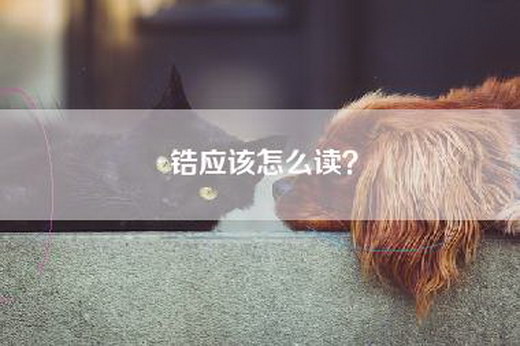 锆应该怎么读？