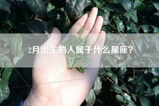 2月出生的人属于什么星座？