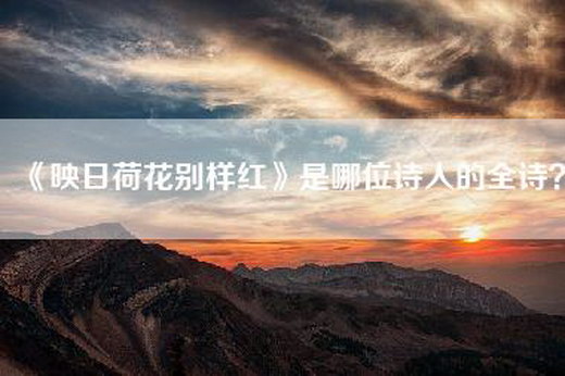 《映日荷花别样红》是哪位诗人的全诗？