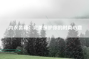 内衣装箱：完美保护你的时尚心意