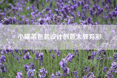 小罐茶包装设计创意大放异彩