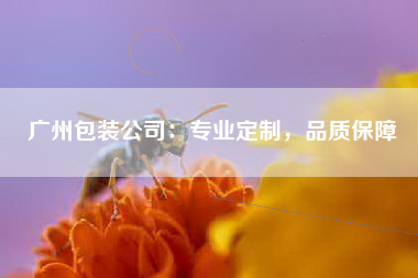 广州包装公司：专业定制，品质保障