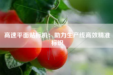高速平面贴标机：助力生产线高效精准标识