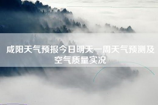 admin