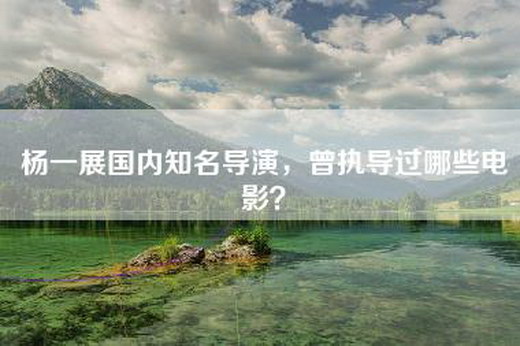 杨一展国内知名导演，曾执导过哪些电影？