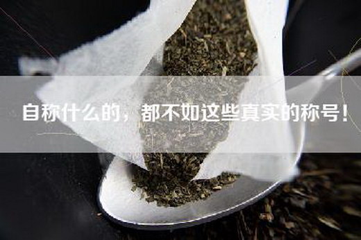 自称什么的，都不如这些真实的称号！