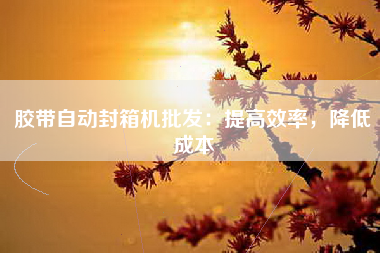 胶带自动封箱机批发：提高效率，降低成本