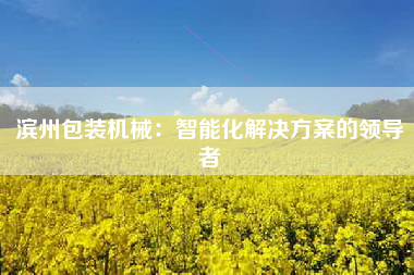 滨州包装机械：智能化解决方案的领导者
