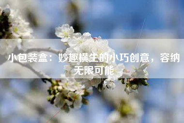 小包装盒：妙趣横生的小巧创意，容纳无限可能