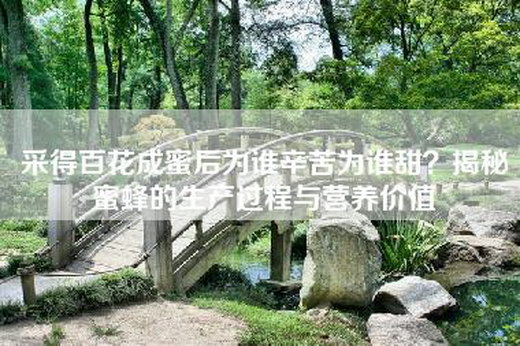 采得百花成蜜后为谁辛苦为谁甜？揭秘蜜蜂的生产过程与营养价值