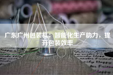 广东广州包装机：智能化生产助力，提升包装效率