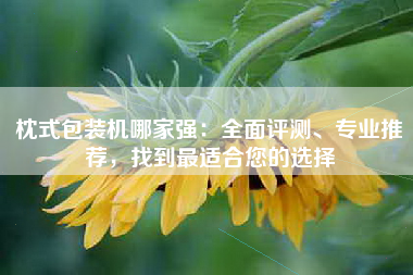 枕式包装机哪家强：全面评测、专业推荐，找到最适合您的选择