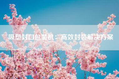 吸塑封口包装机：高效封装解决方案