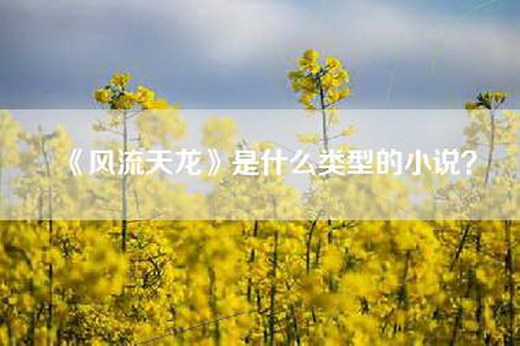 《风流天龙》是什么类型的小说？