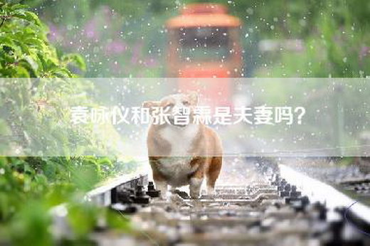 袁咏仪和张智霖是夫妻吗？