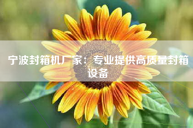 宁波封箱机厂家：专业提供高质量封箱设备