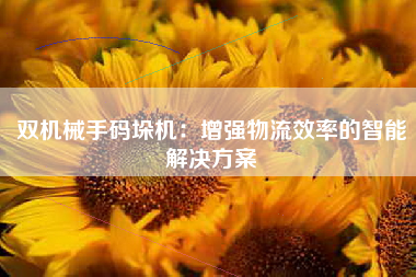 双机械手码垛机：增强物流效率的智能解决方案
