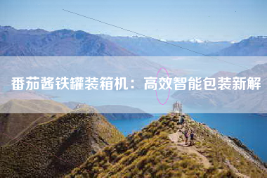 番茄酱铁罐装箱机：高效智能包装新解