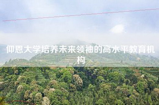 仰恩大学培养未来领袖的高水平教育机构