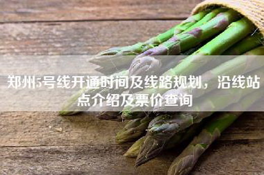 郑州5号线开通时间及线路规划，沿线站点介绍及票价查询