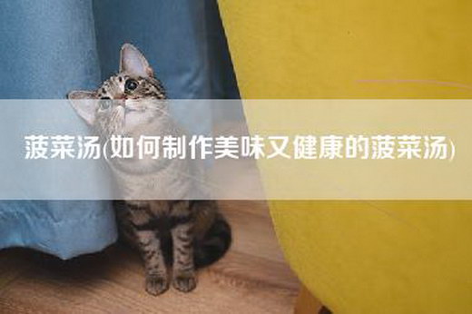 菠菜汤(如何制作美味又健康的菠菜汤)