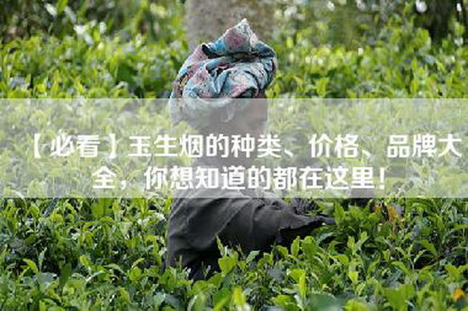 【必看】玉生烟的种类、价格、品牌大全，你想知道的都在这里！