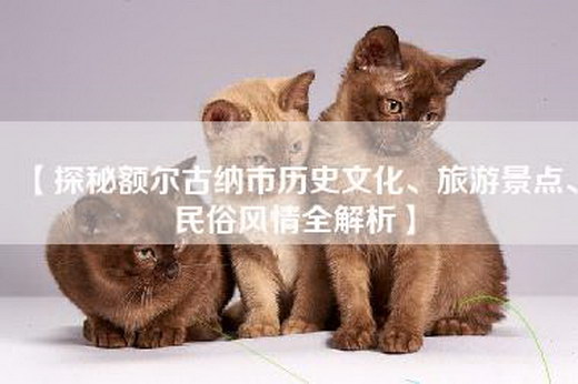 【探秘额尔古纳市历史文化、旅游景点、民俗风情全解析】