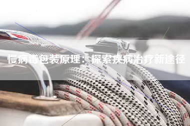 慢病毒包装原理：探索疾病治疗新途径