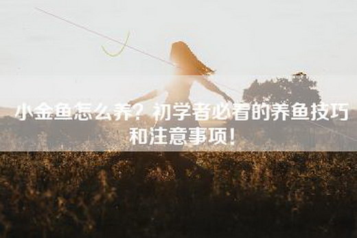 小金鱼怎么养？初学者必看的养鱼技巧和注意事项！
