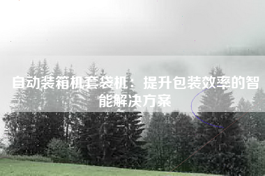自动装箱机套袋机：提升包装效率的智能解决方案