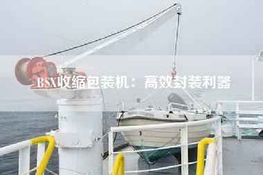 BSX收缩包装机：高效封装利器