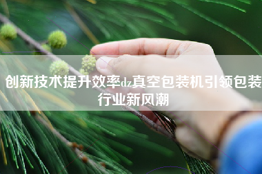 创新技术提升效率dz真空包装机引领包装行业新风潮