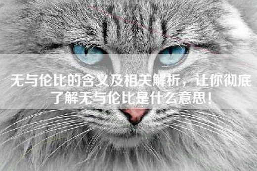 朝阳区热心网友科普无与伦比是什么意思，探讨其深远价值