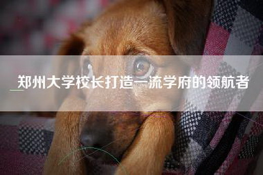 郑州大学校长打造一流学府的领航者