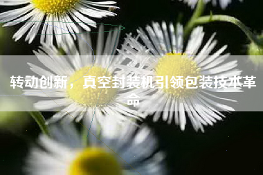 转动创新，真空封装机引领包装技术革命