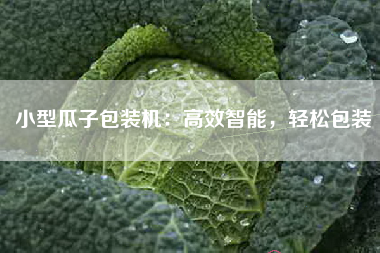 小型瓜子包装机：高效智能，轻松包装