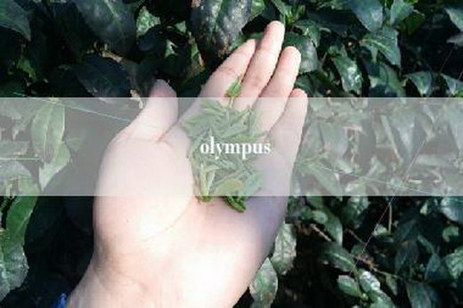 olympus