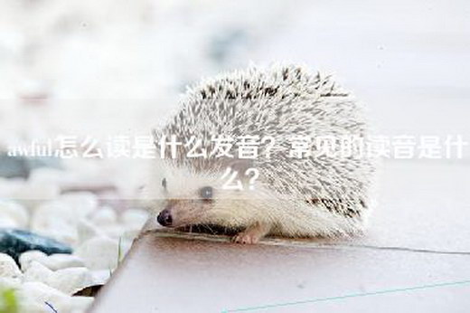 awful怎么读是什么发音？常见的读音是什么？