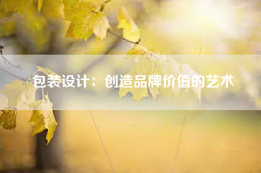包装设计：创造品牌价值的艺术