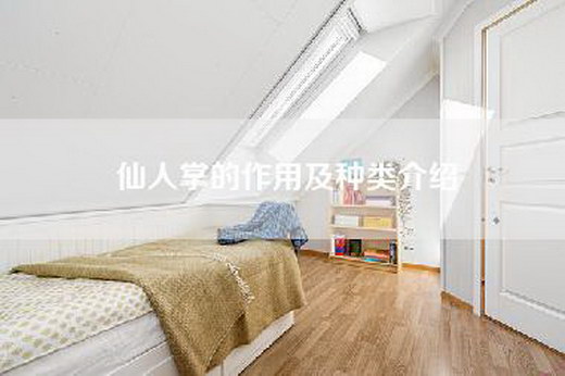 仙人掌的作用及种类介绍